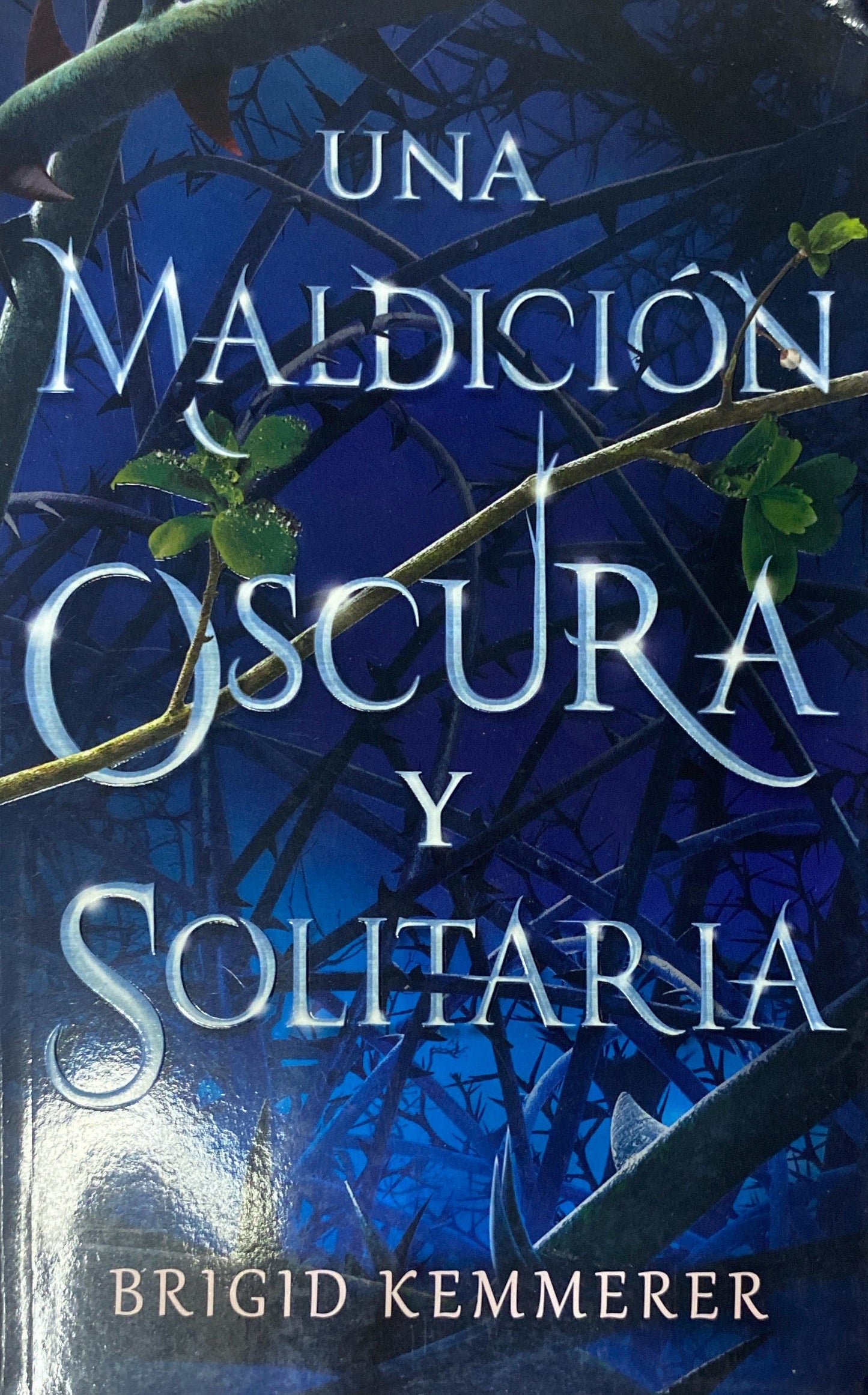 Una maldición oscura y solitaria | Brigid Kemmerer