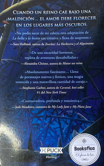 Una maldición oscura y solitaria | Brigid Kemmerer