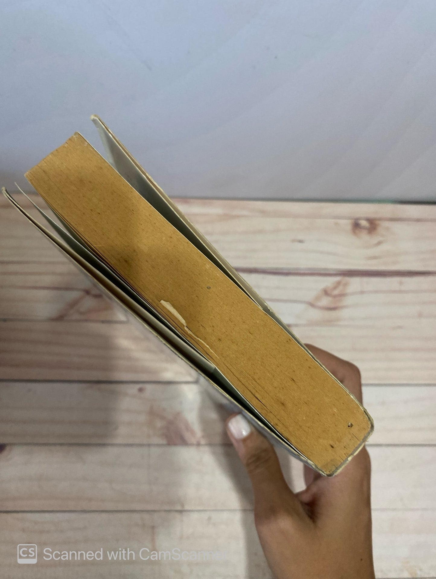 Riña de Gatos | Eduardo Mendoza