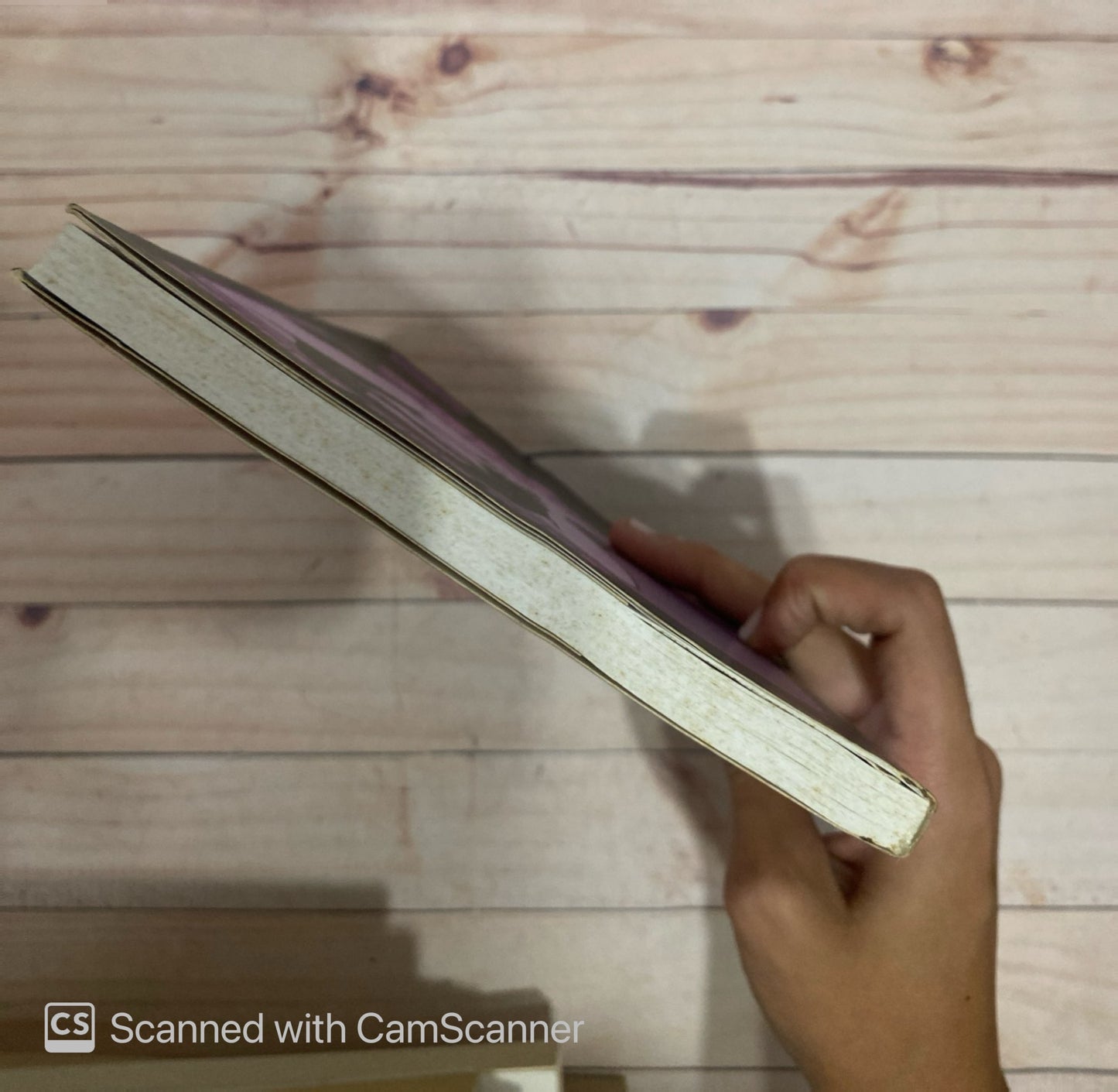 El sabor de su piel | José Luis Muñoz