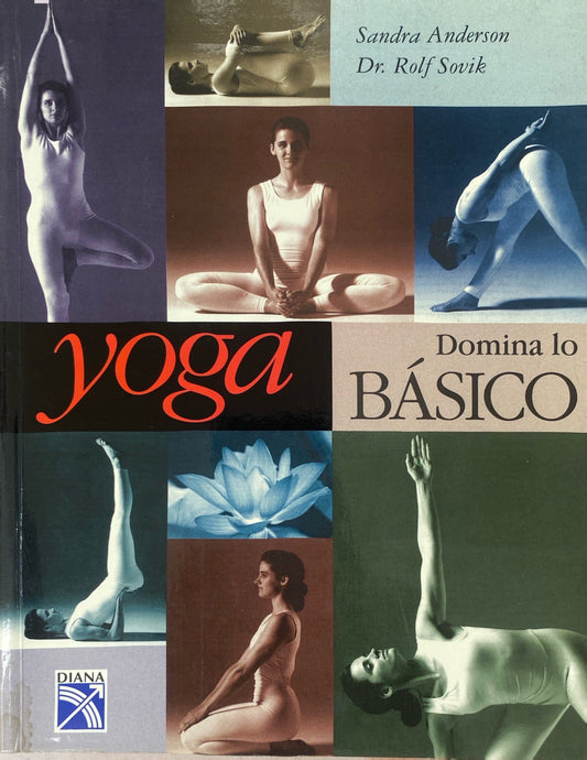 Domina lo básico del yoga | Sandra Anderson