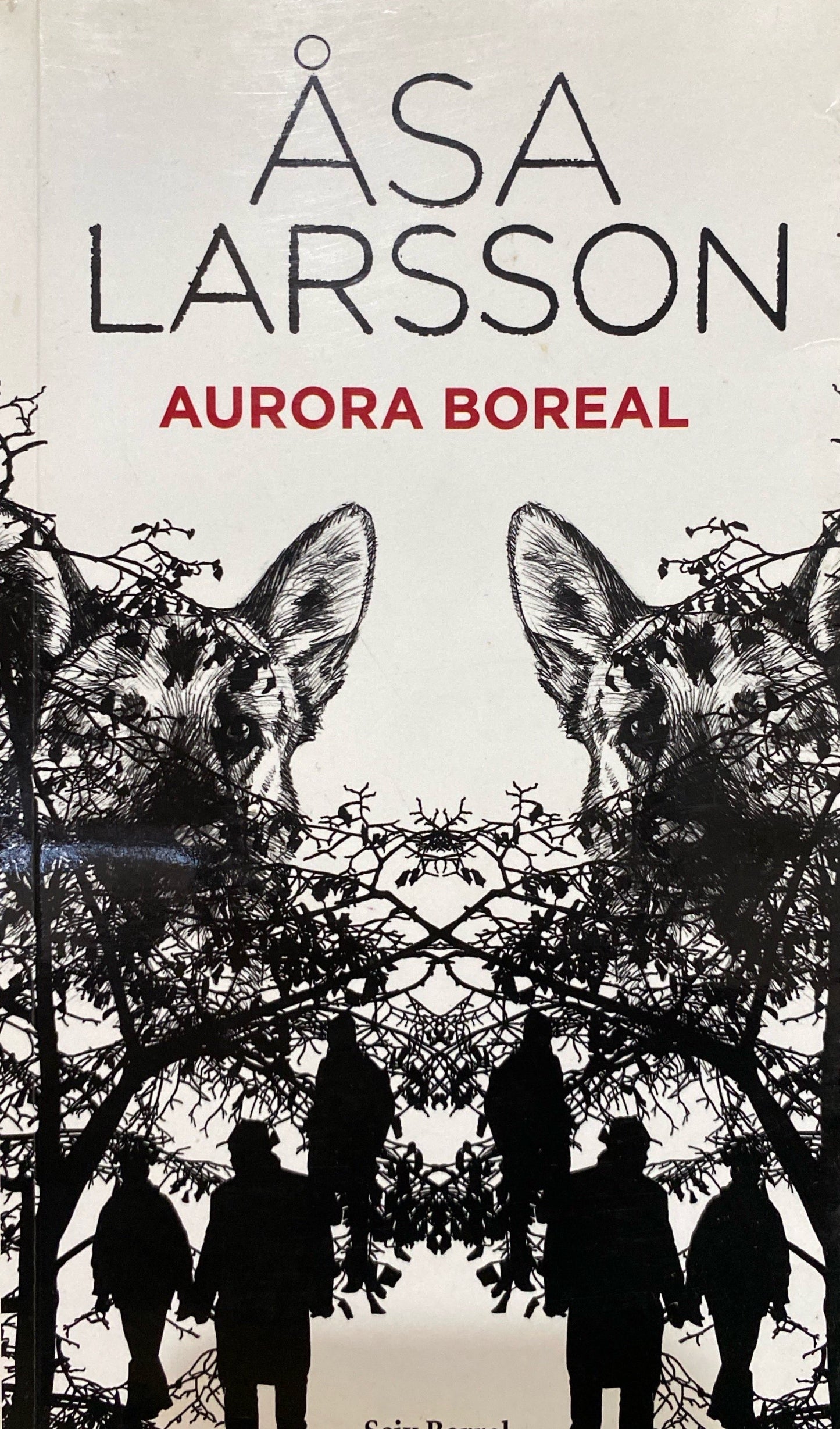 Aurora Boreal | Asa Larsson