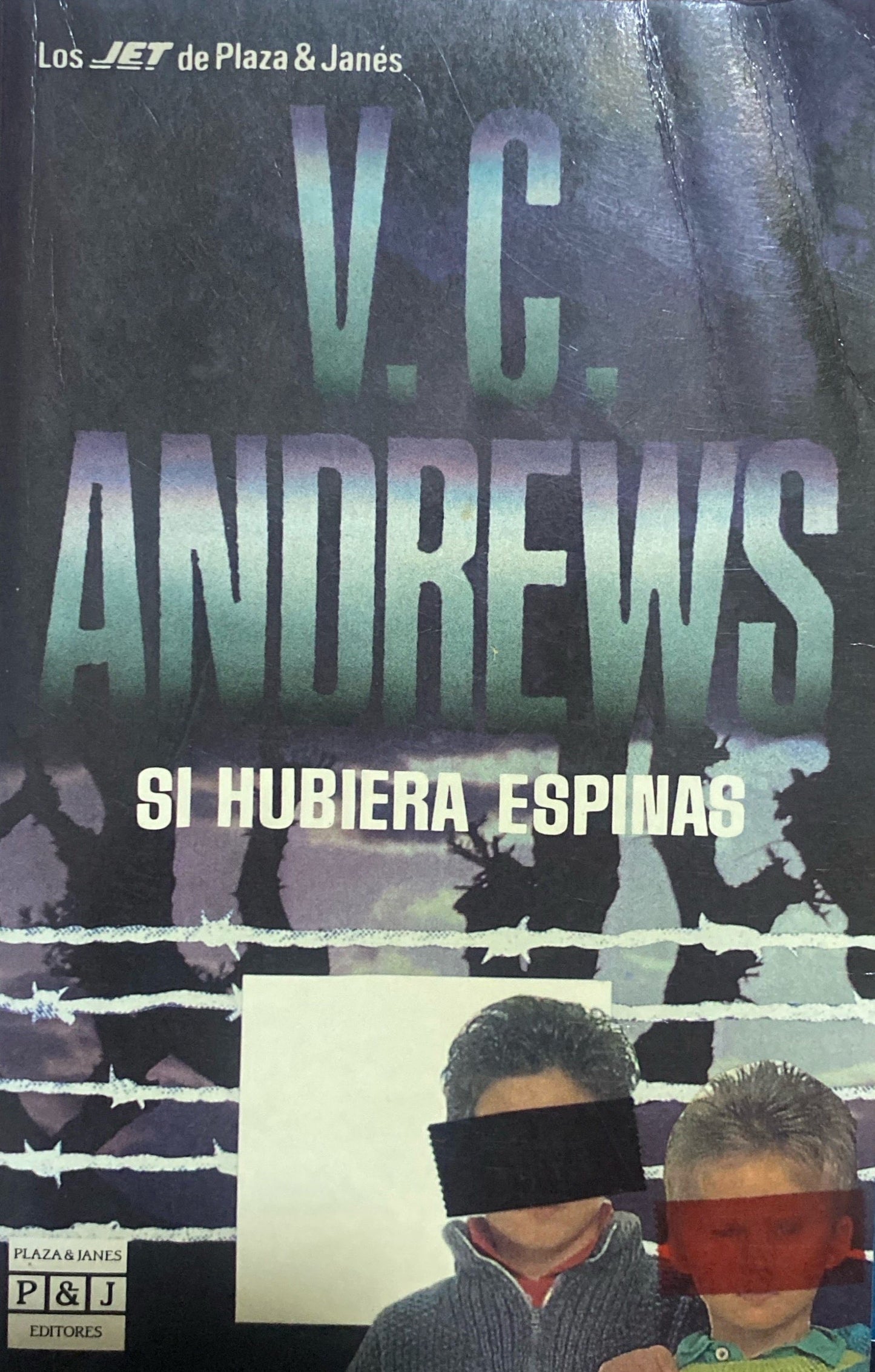 Si hubiera espinas | V.C Andrews