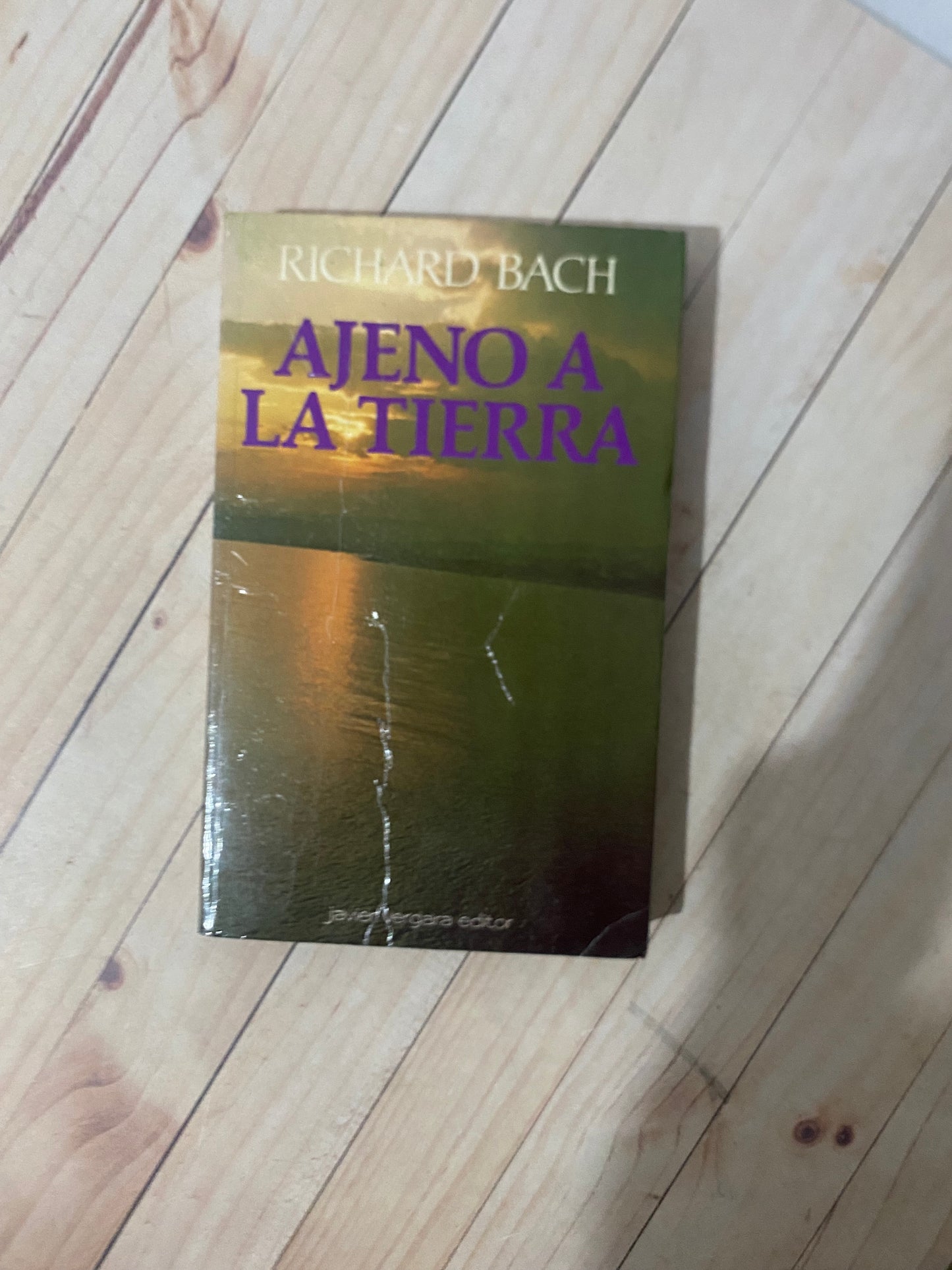 Ajeno a la tierra | Richard Bach