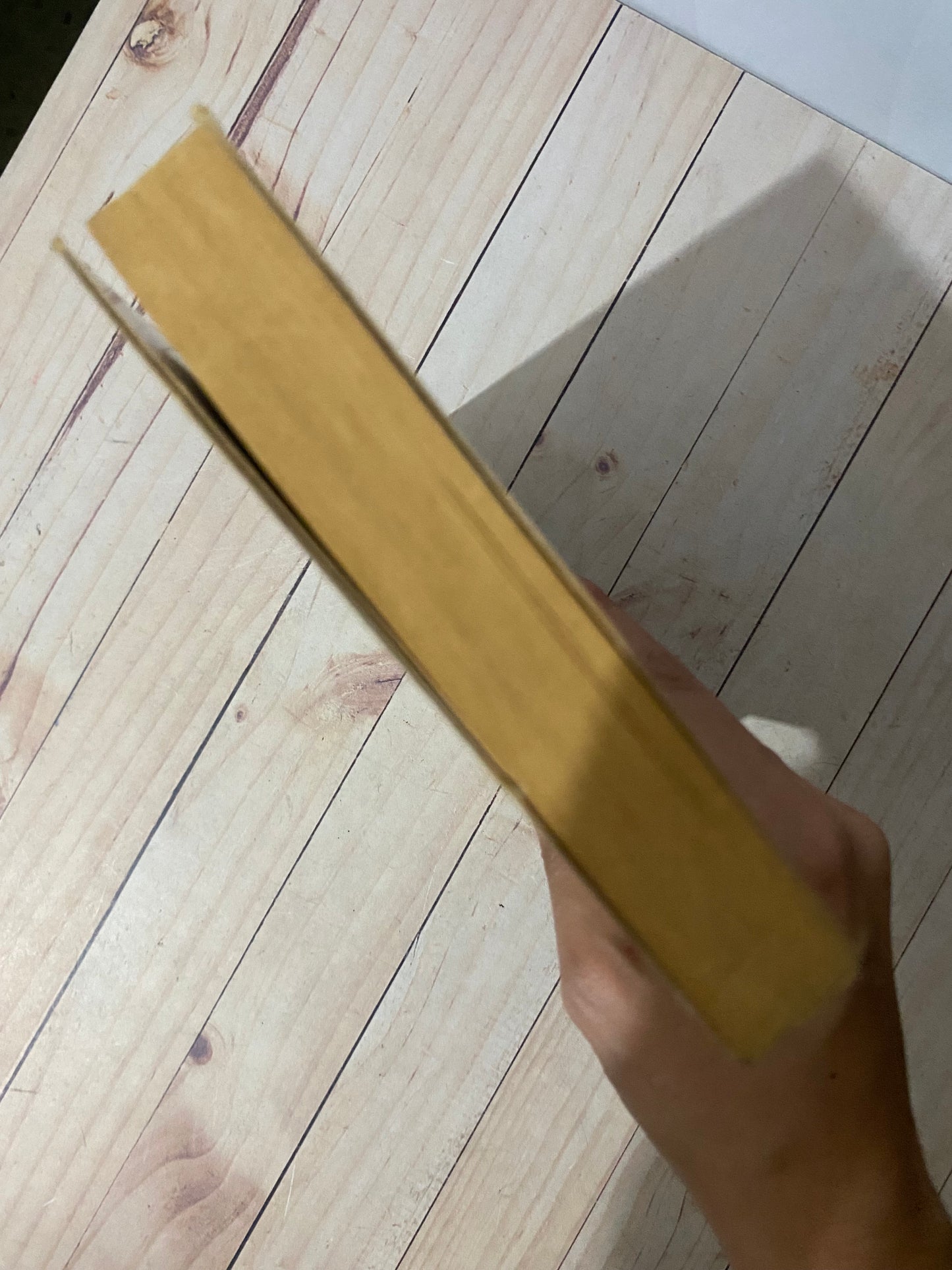 Ajeno a la tierra | Richard Bach