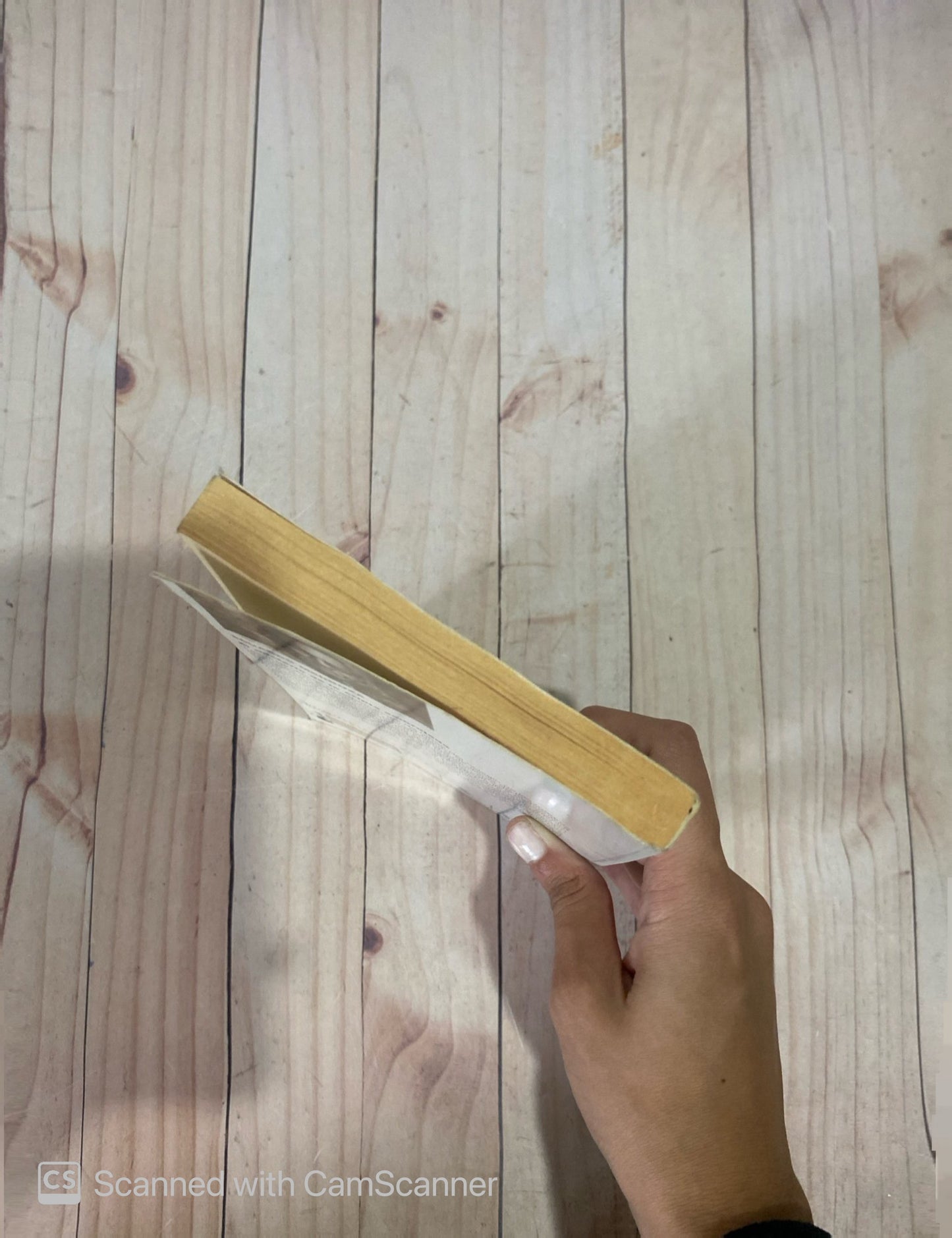 El misterio de la cripta embrujada | Eduardo Mendoza