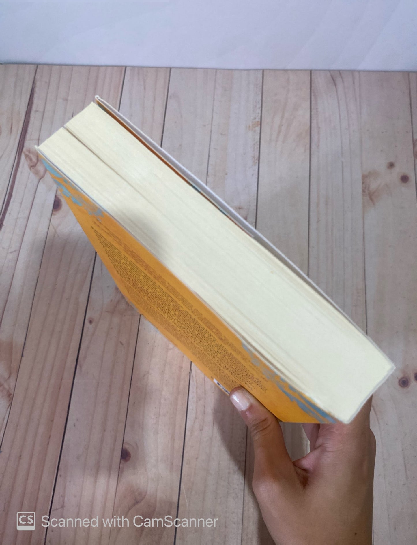 Los jardines del presidente | Mushin Al Ramli