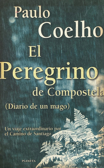 Peregrino de compostela | Paulo Coelho