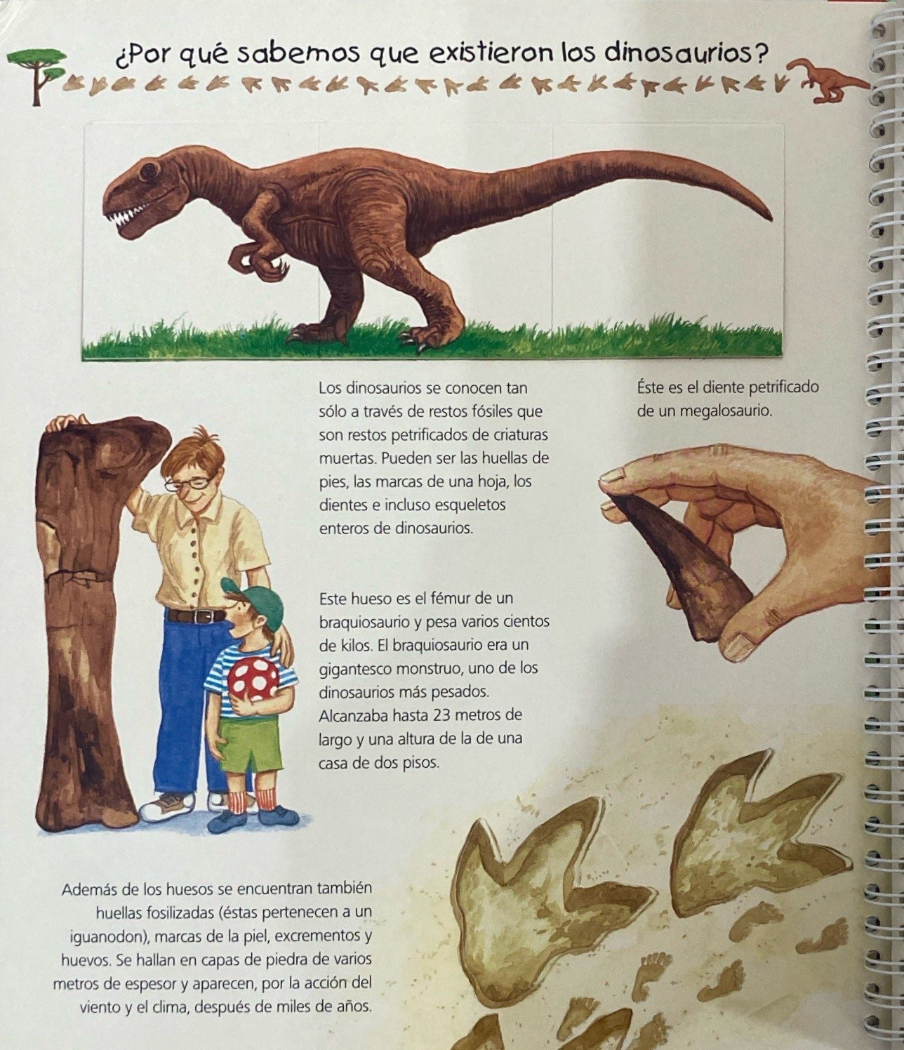 Todo sobre los dinosaurios