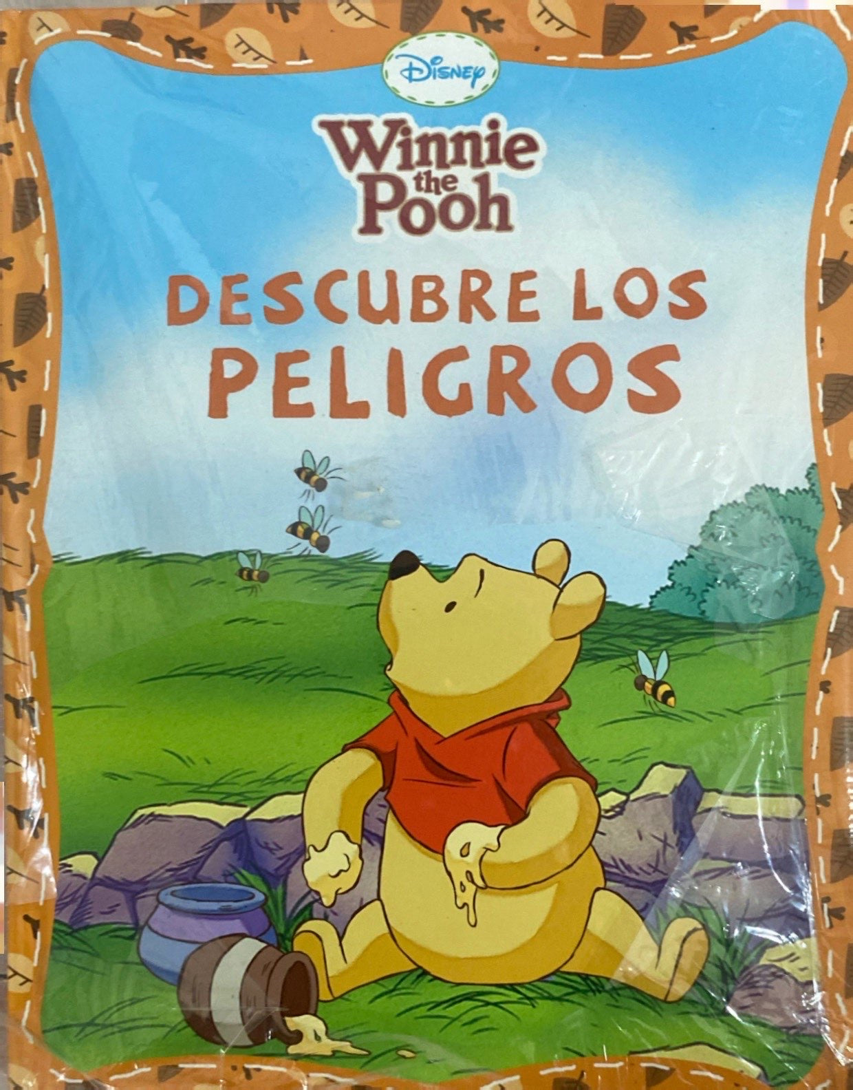 Winnie the Pooh descubre los peligros