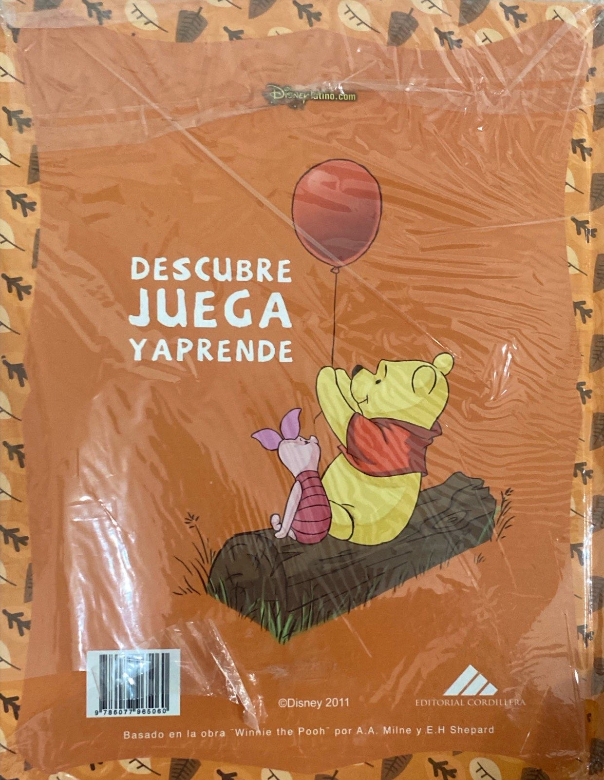 Winnie the Pooh descubre los peligros