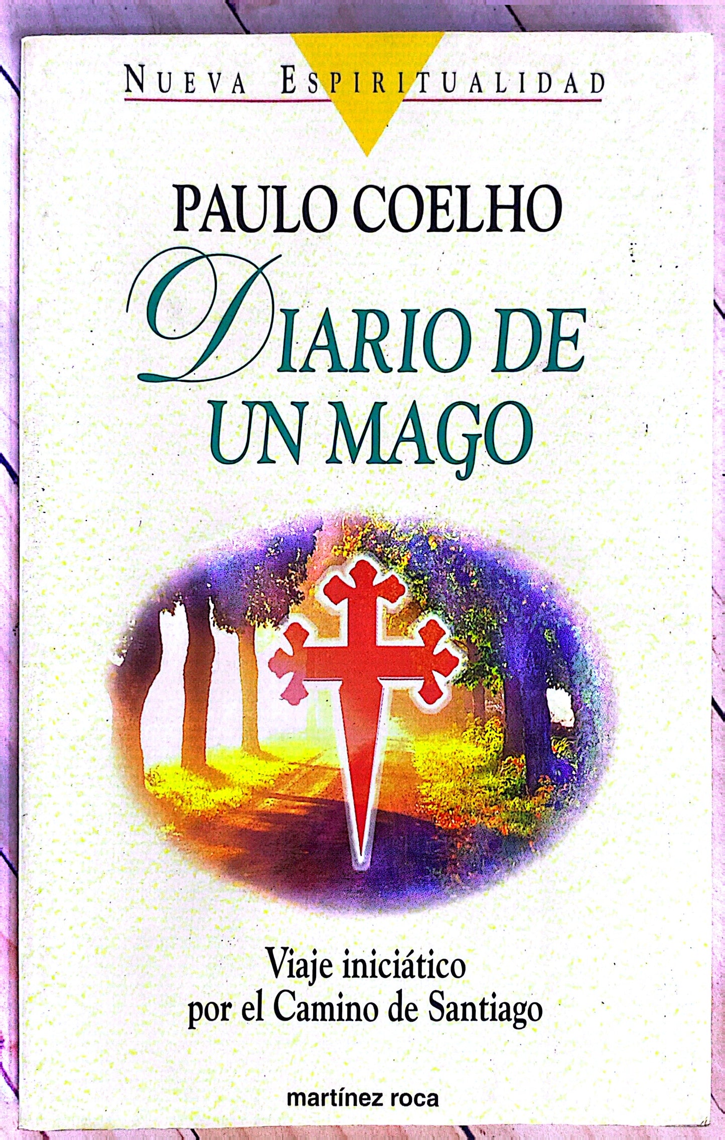 Peregrino de compostela | Paulo Coelho