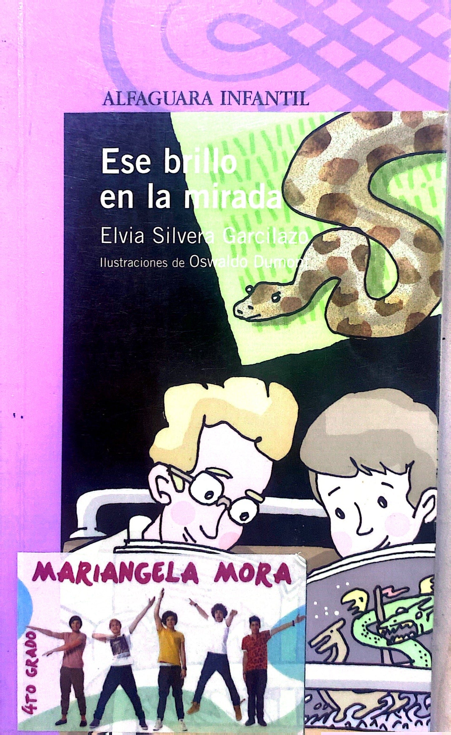 Ese brillo en la mirada | Elvia Silvera