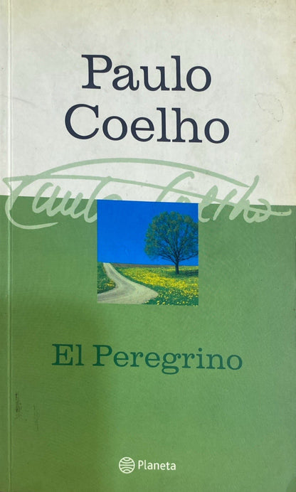 Peregrino de compostela | Paulo Coelho