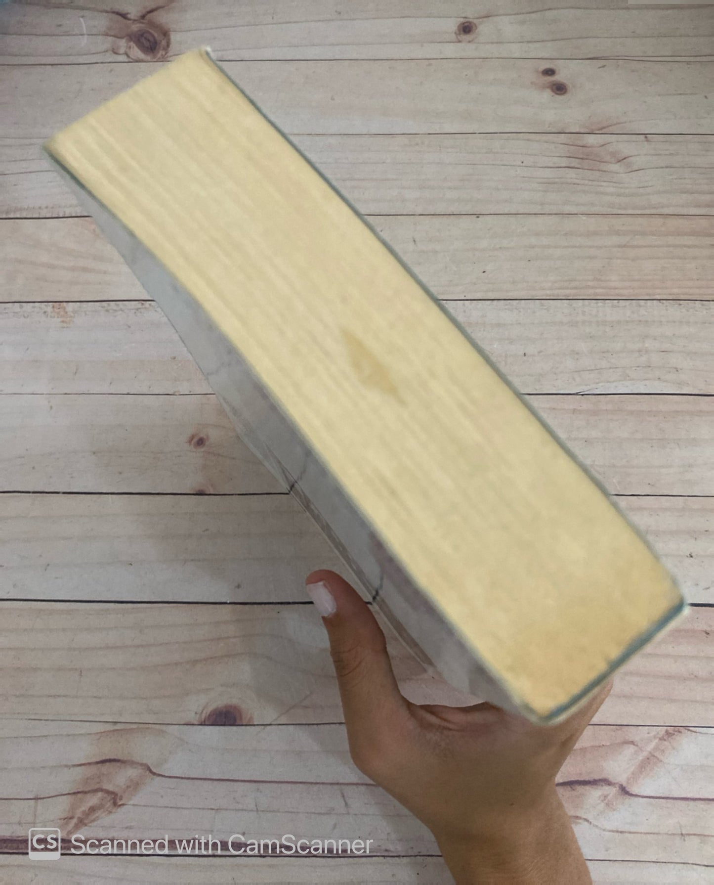 La revolución sentimental | Beatriz Lecumberri