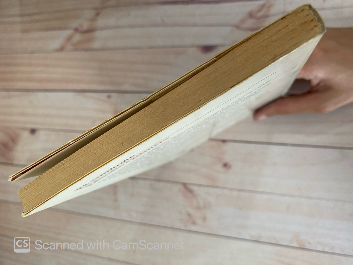 El combate | Ednodio Quintero