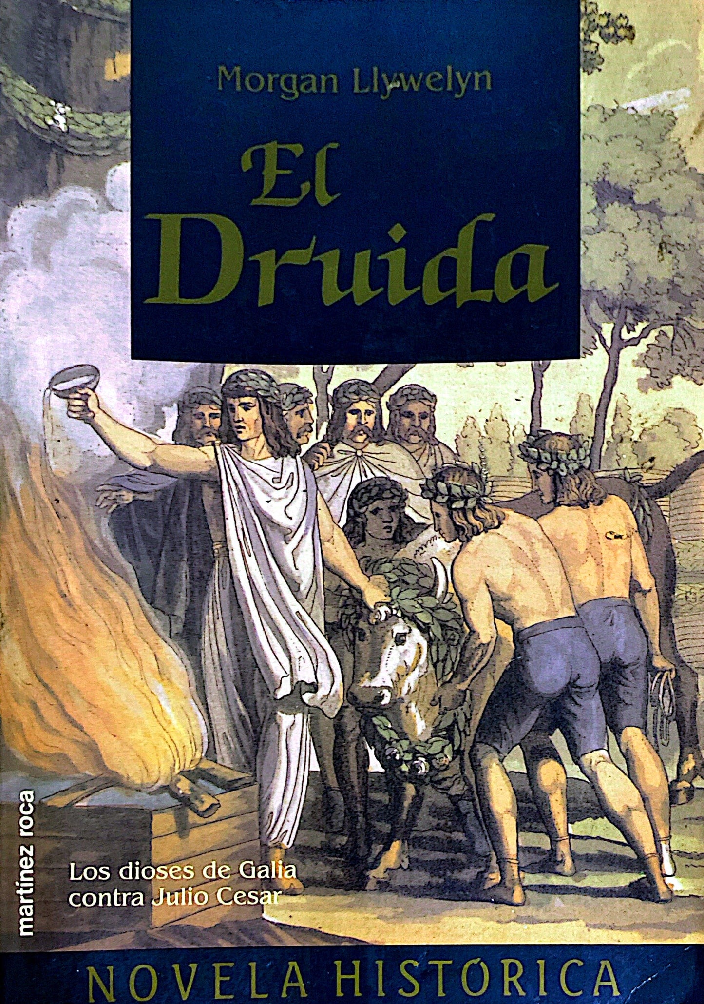 El druida | Morgan Llywelyn