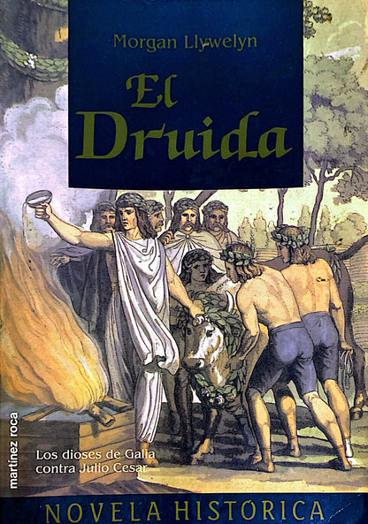 El druida | Morgan Llywelyn