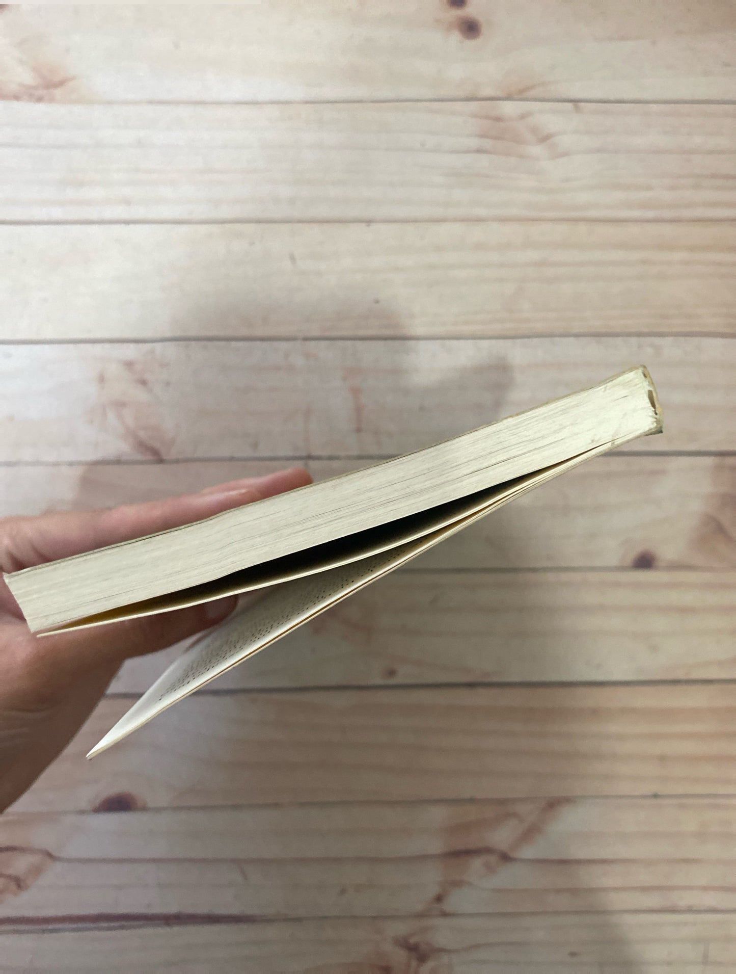 El lector | Bernhard Shlink