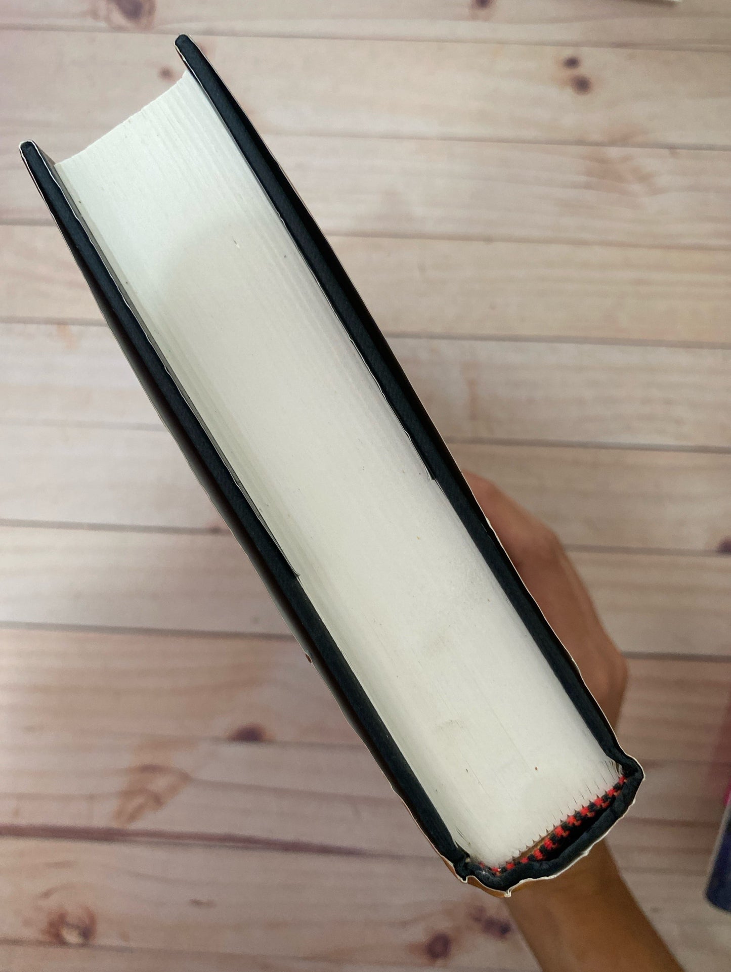 El libro egipcio de los muertos | E. A Wallis Budge