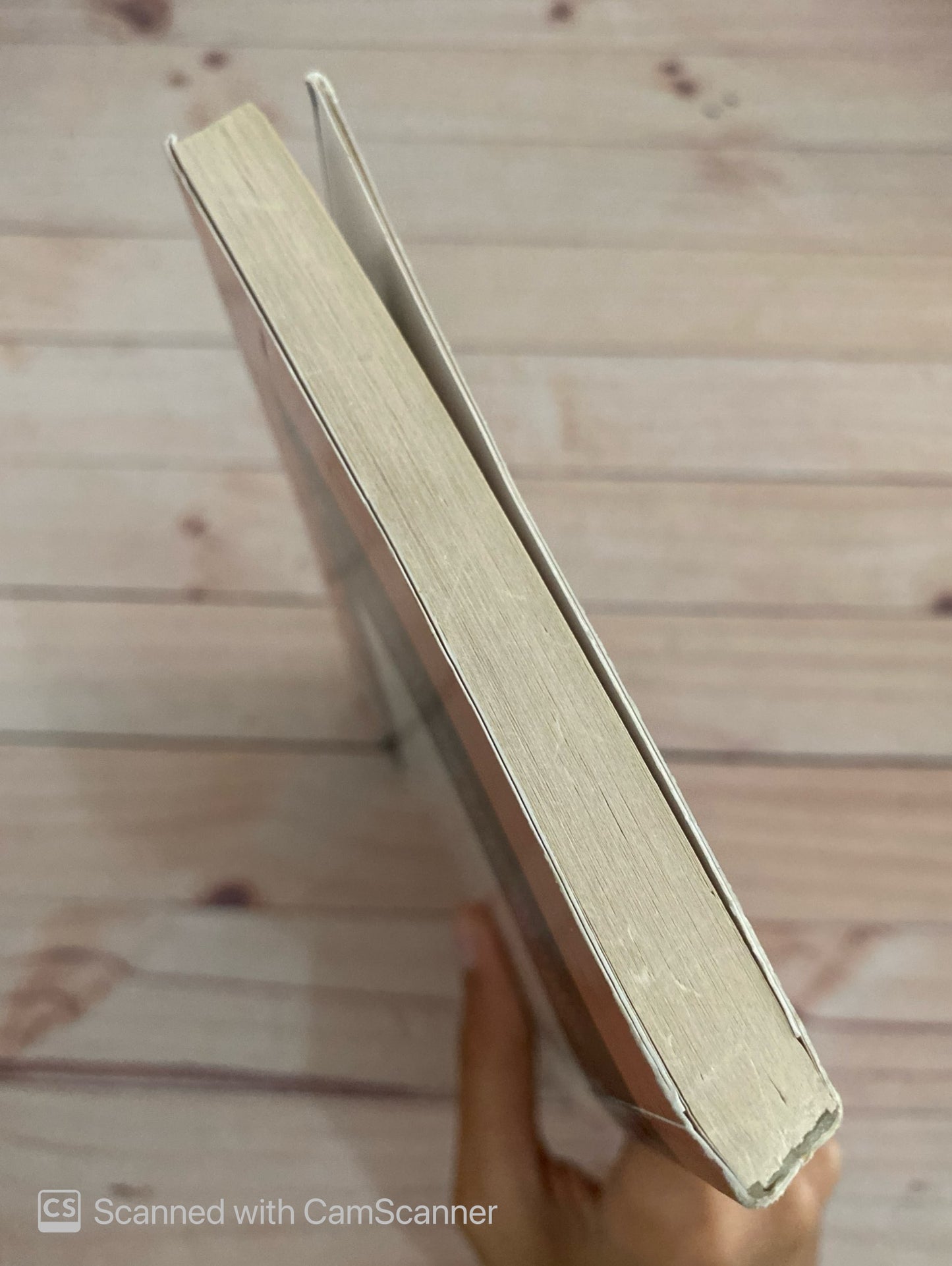 El vuelo del alcatraz | Francisco Herrera Luque