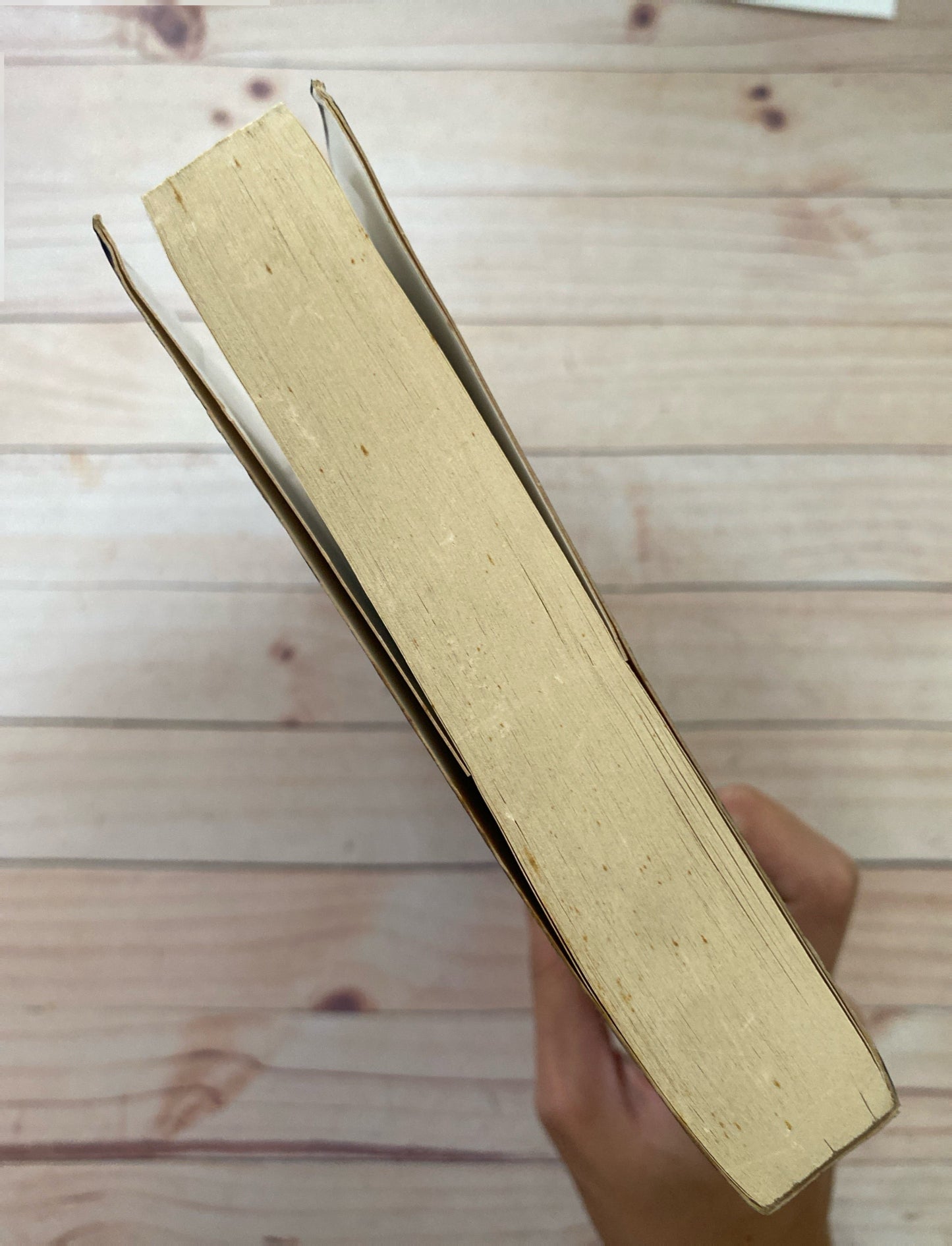 Historias insólitas de los mundiales de Fútbol