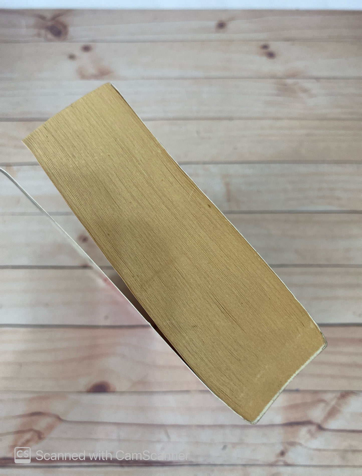 La buena reputación | Ignacio Martinez de Pisón