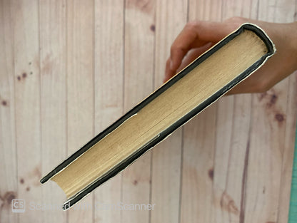 La noche detenida | Javier Reverte