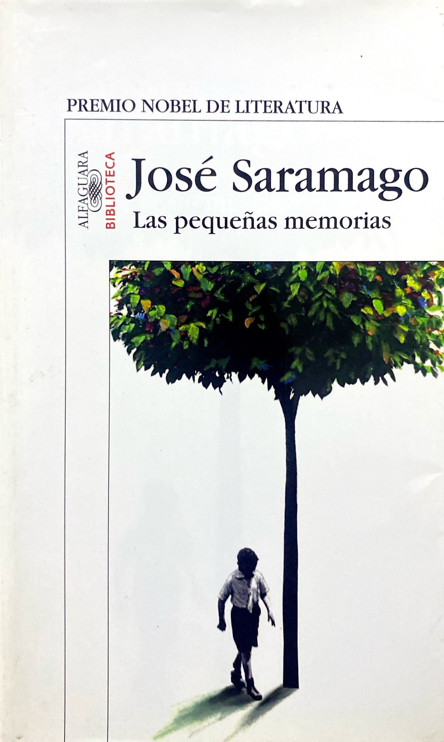 Las pequeñas memorias | José Saramago