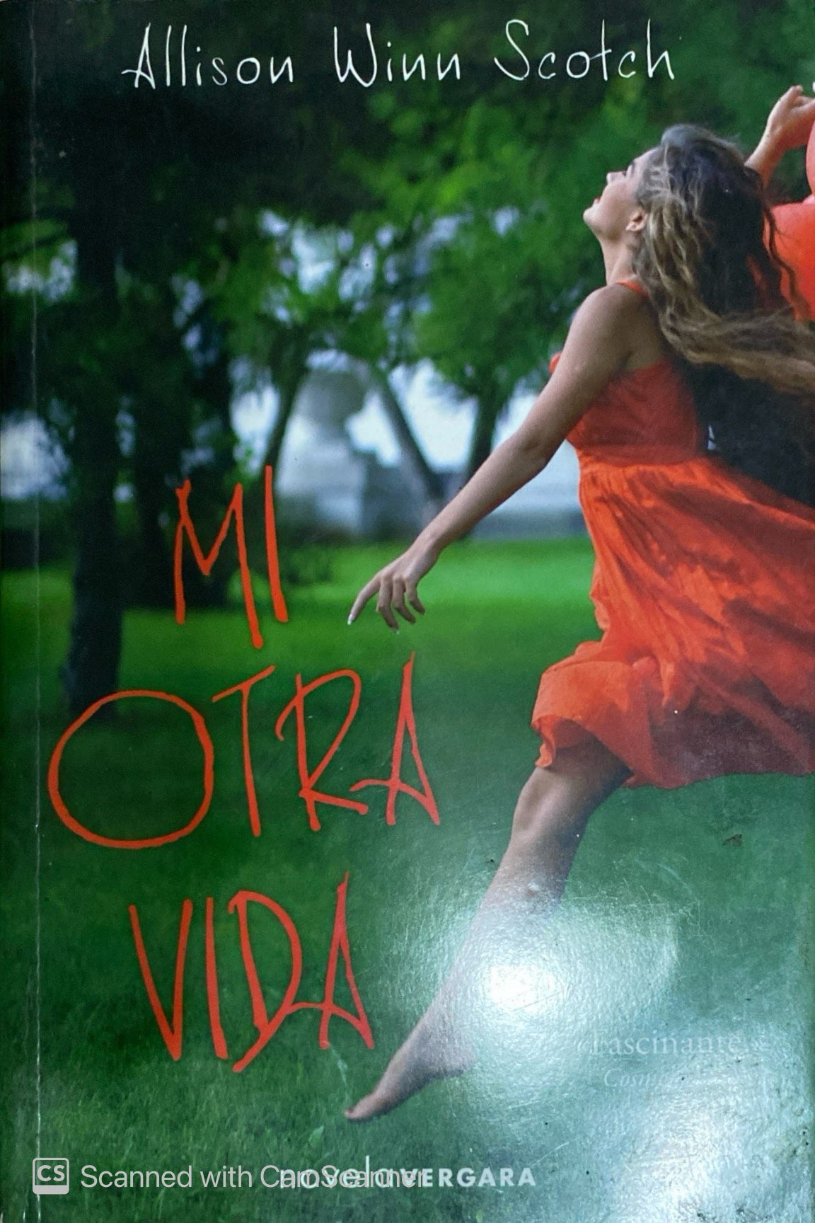 Mi otra vida | Allison Winn Scoth