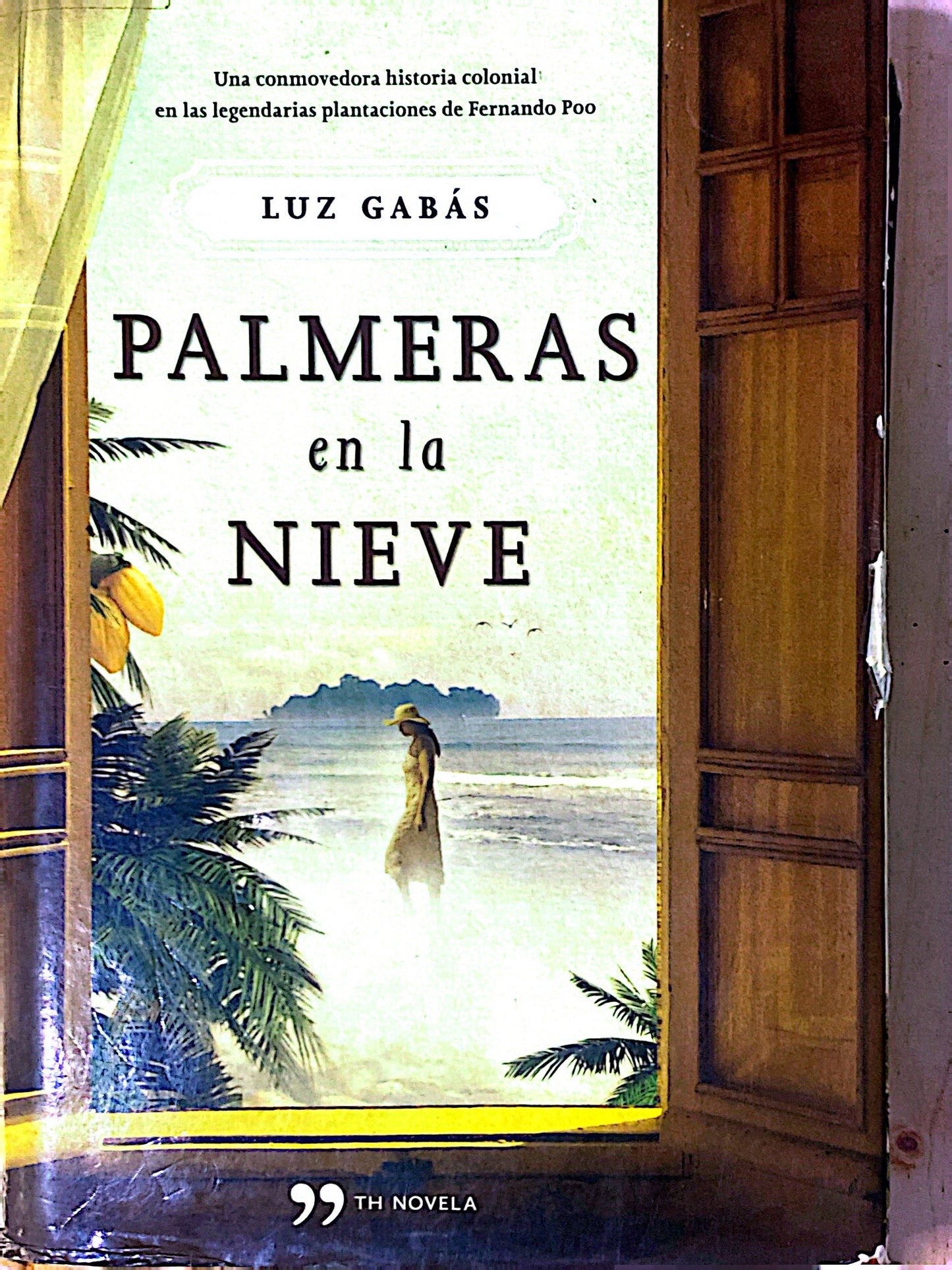 Palmeras en la nieve | Luz Gabás