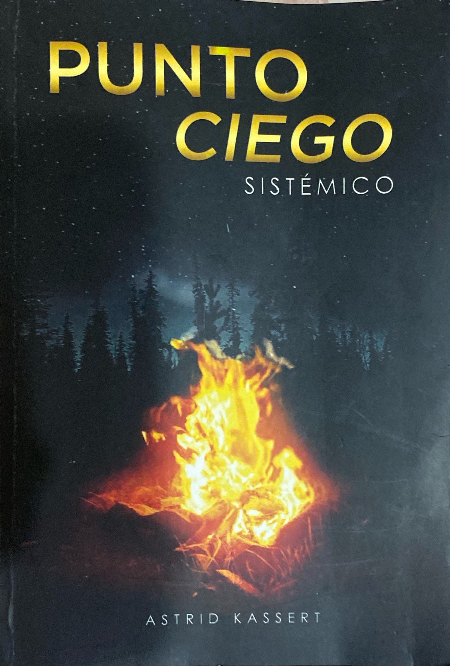 Punto ciego |Astrid Kassert