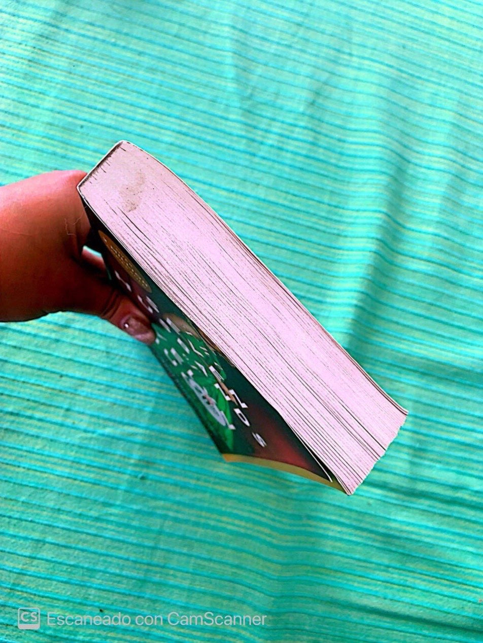 The seven Husbands of evelyn Hugo |Taylor Jenkins