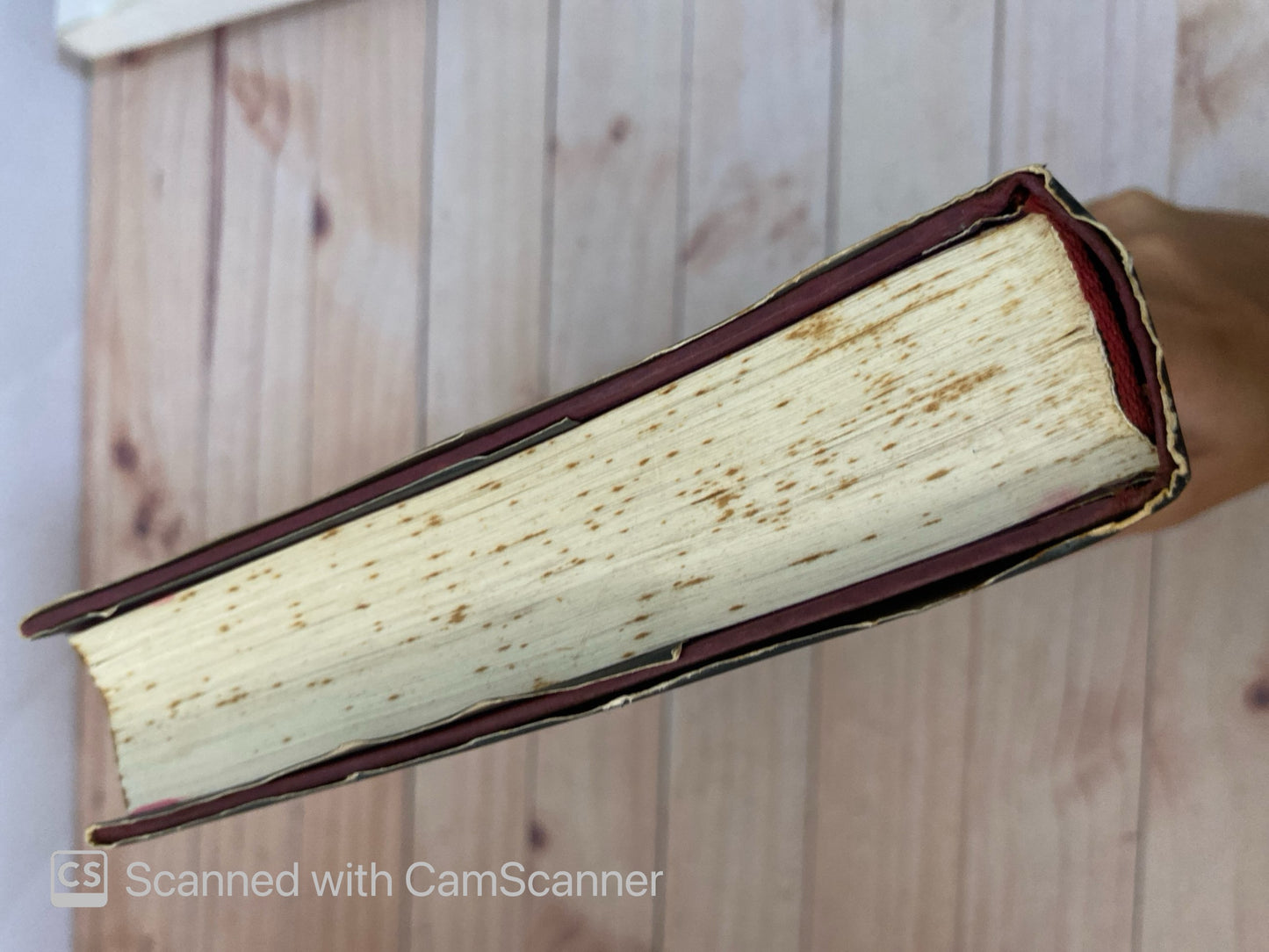 Un jardín en Badalpur | Kenizé Mourad