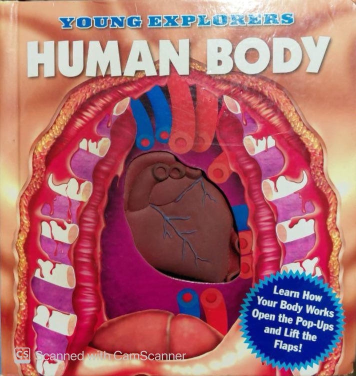 Young explorers: Human body