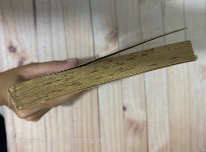 El jardín de al lado | José Donoso