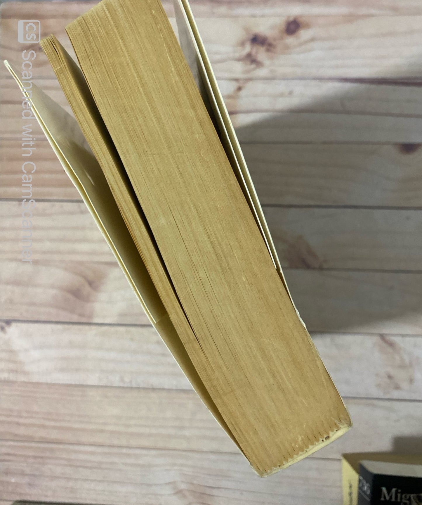 El reich africano | Guy Saville