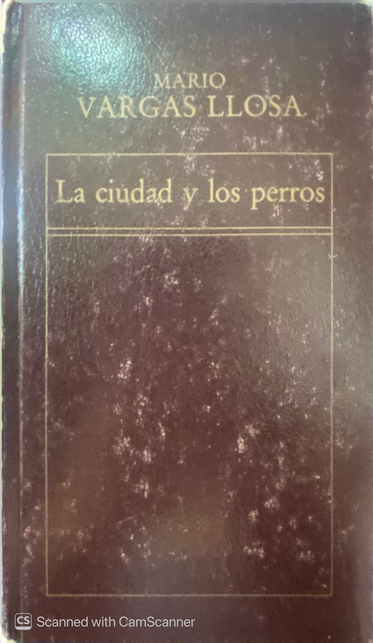 La ciudad y los perros | Mario Vargas Llosa