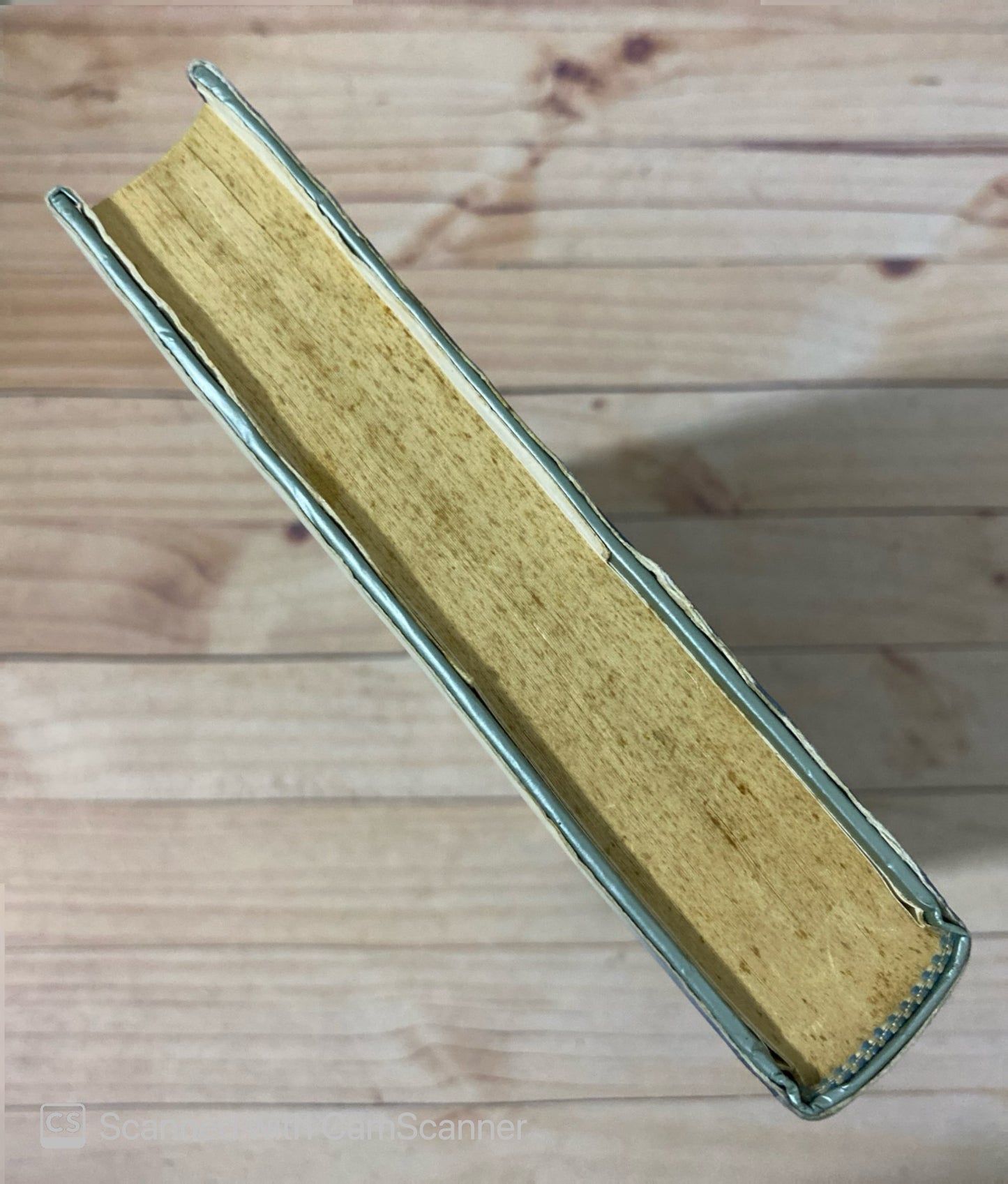 La cazadora de astros | Zoé Valdés