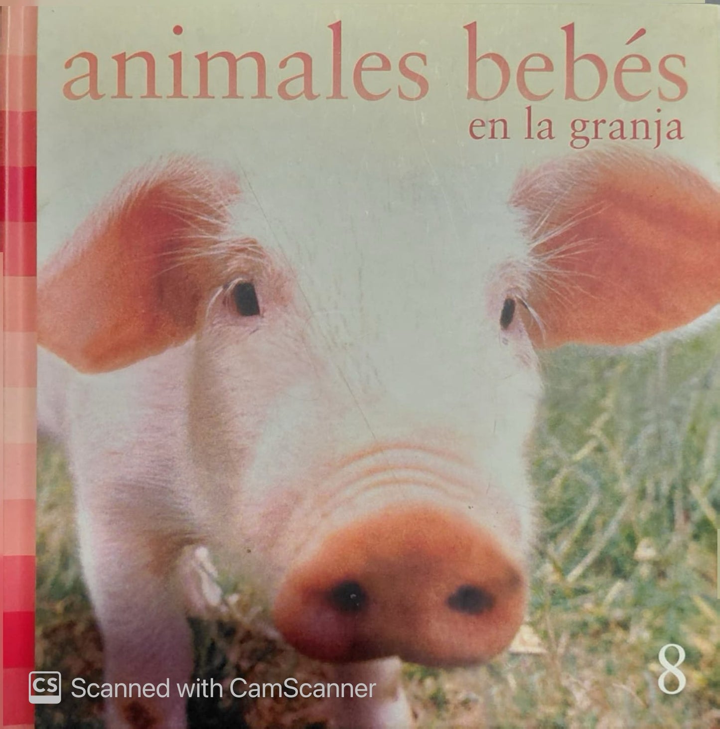 Libro infantil Animales bebés en la granja