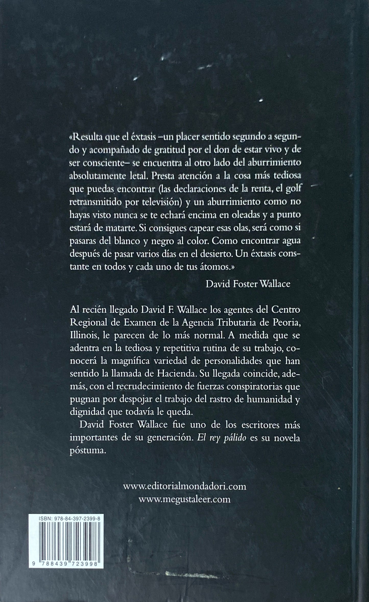 El rey pálido | David Foster Wallace