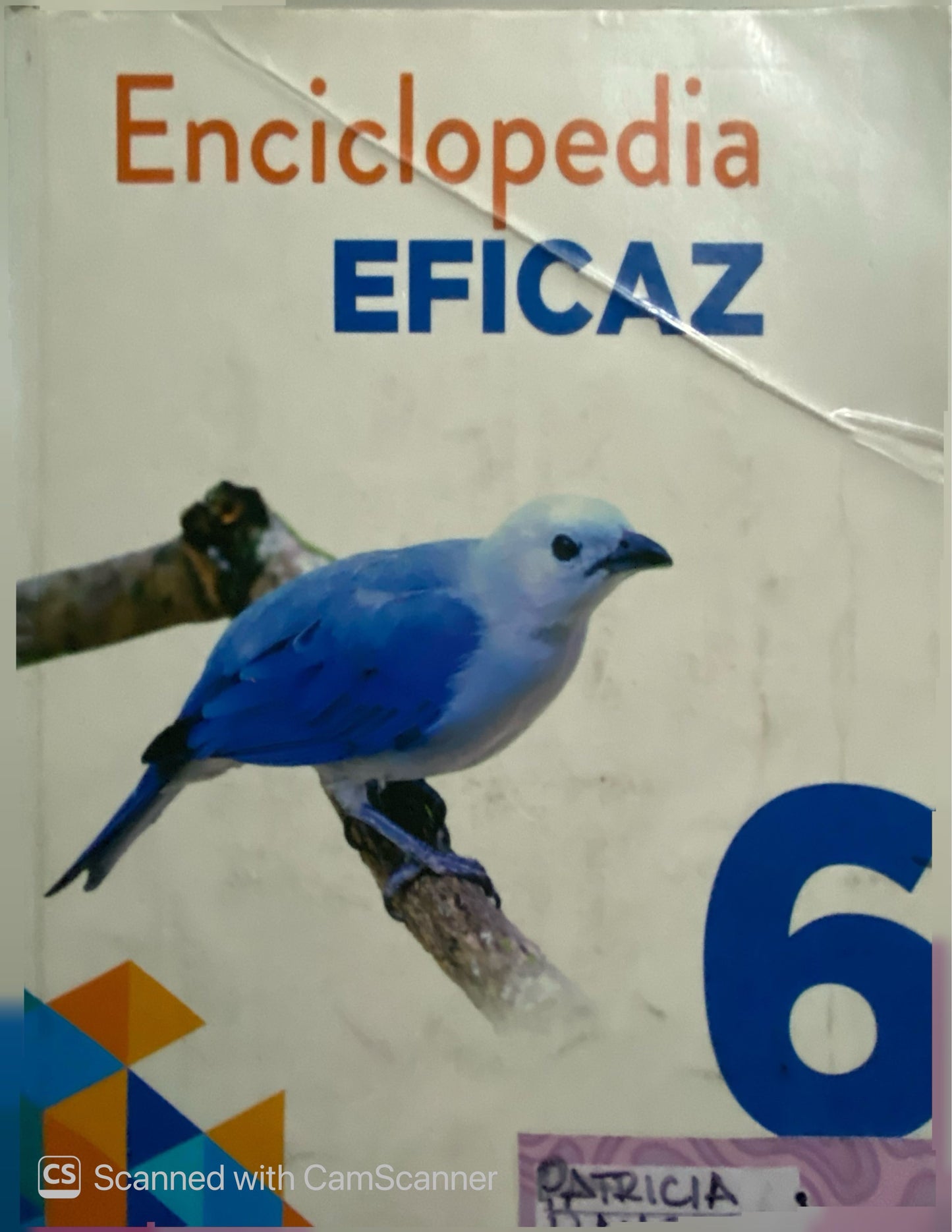 Enciclopedia Eficaz 6