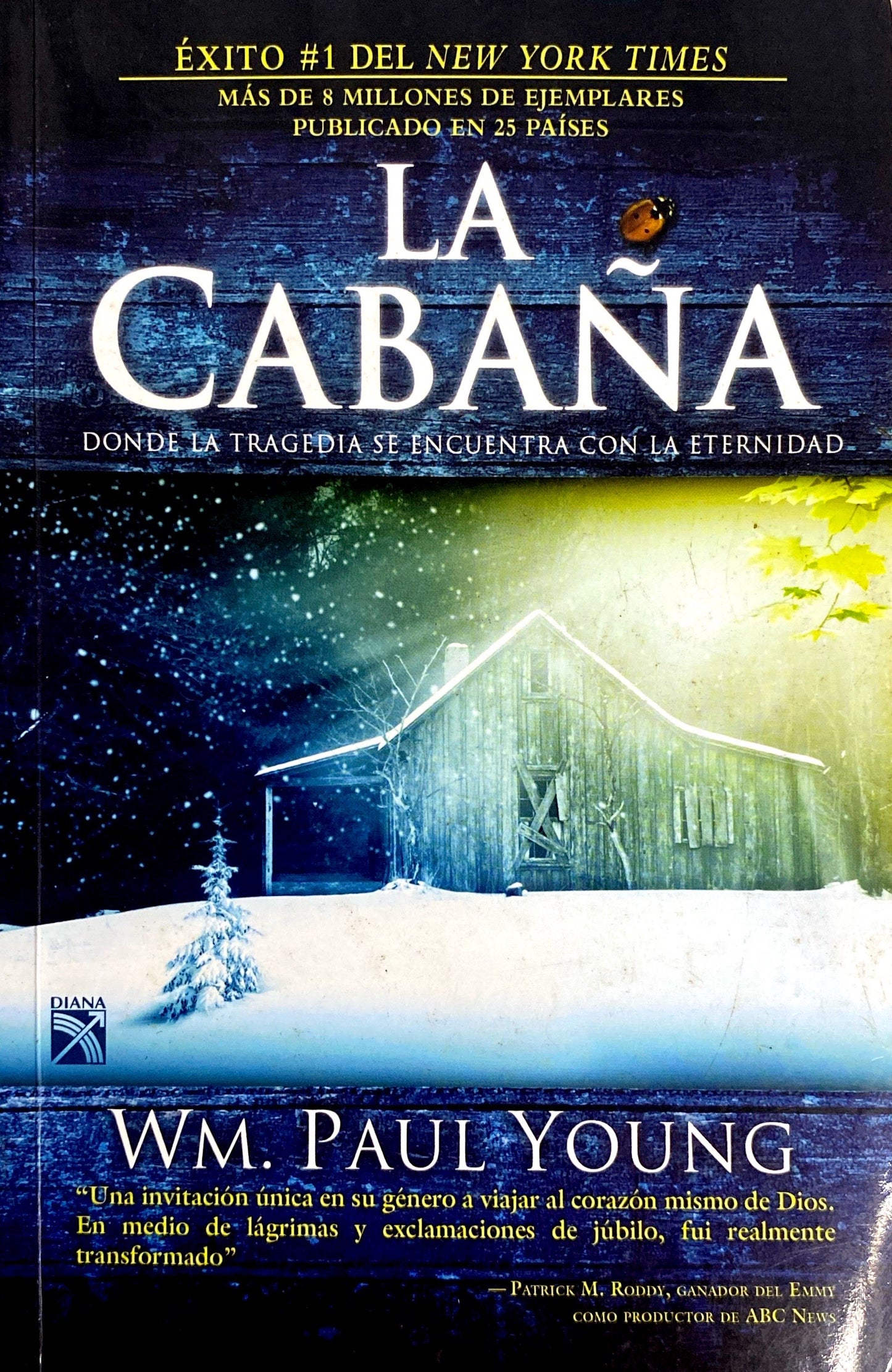 La cabaña | Paul Young