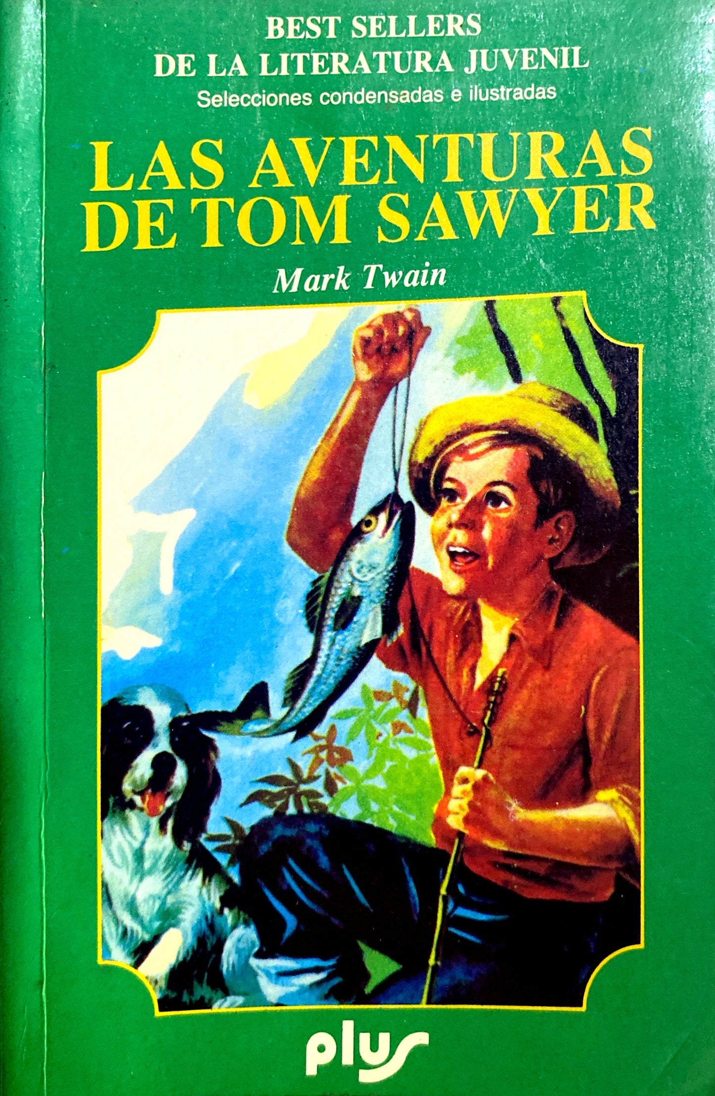 Las aventuras de tom sawyer