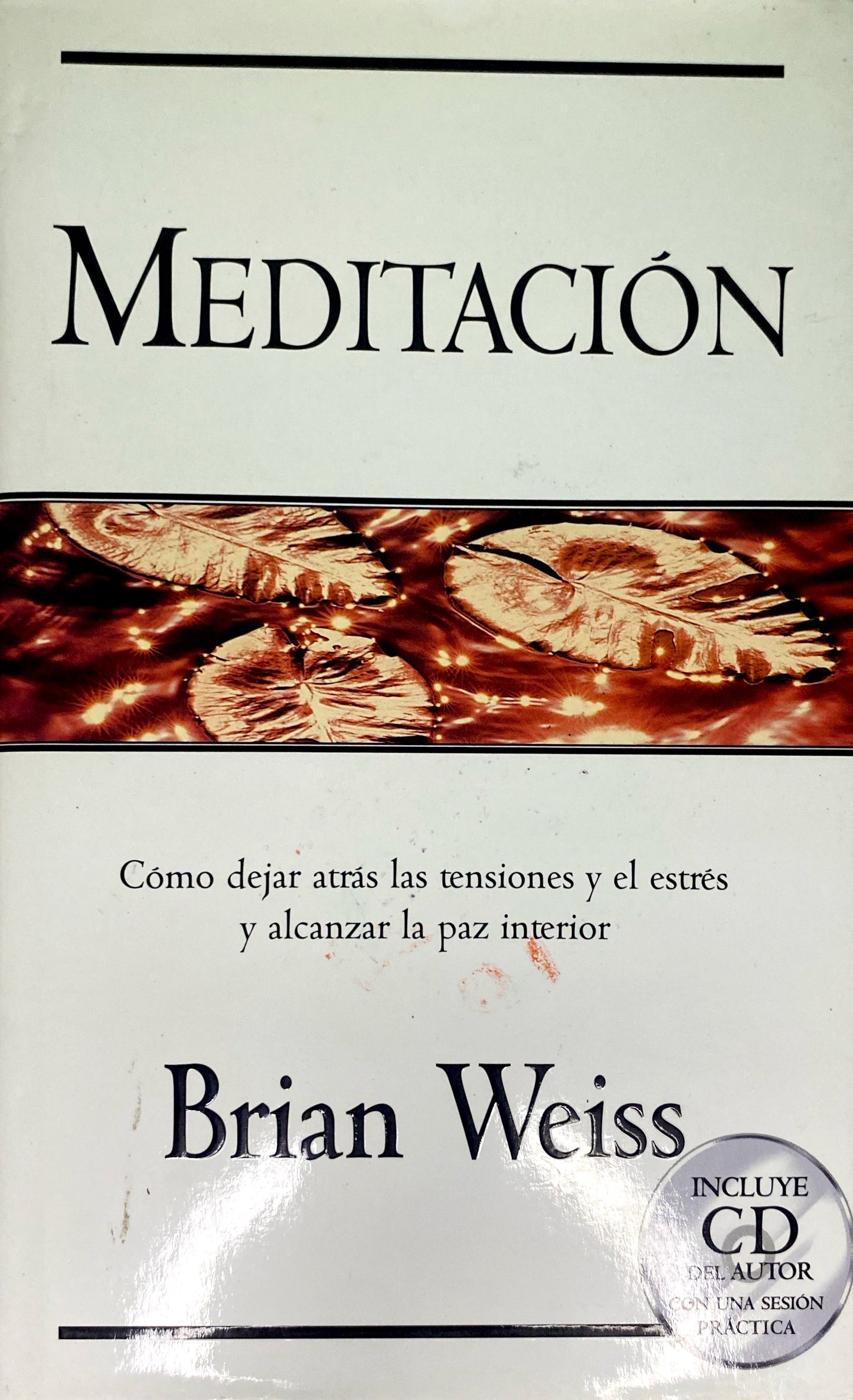 Meditación | Brian Weiss