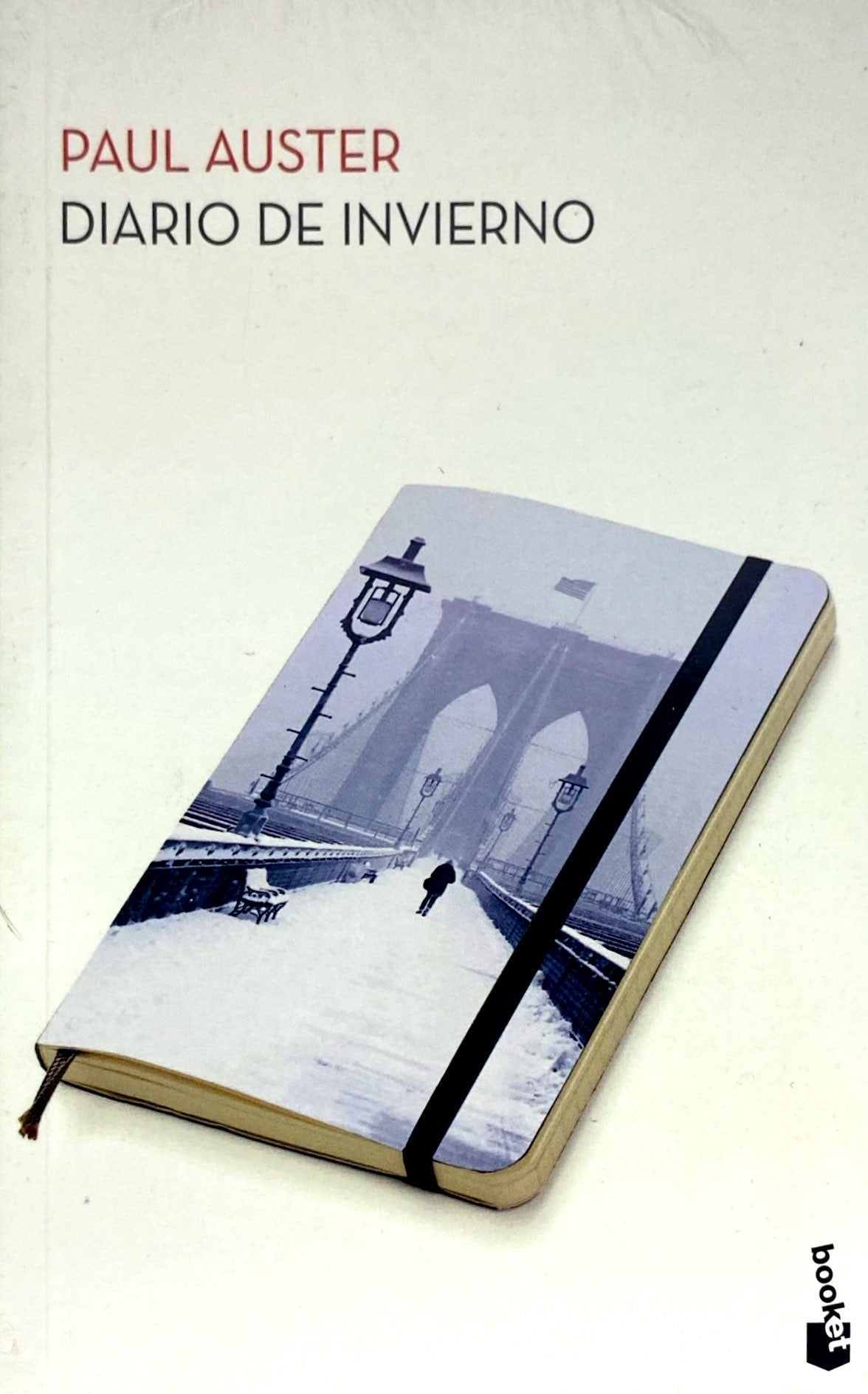 Diario de  invierno | Paul Auster